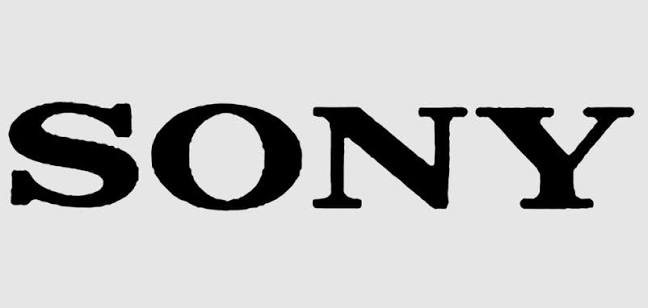 Sony SD Cards logo